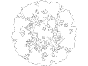 Bloques DWG de arboles en planta para proyectos arquitectónicos