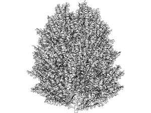 Bloque de arbusto de jardin alto en formato DWG