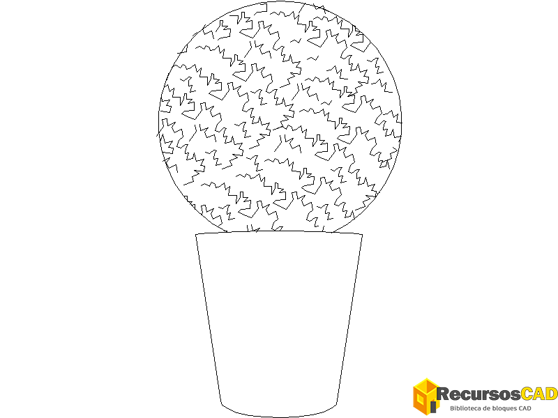 Arbusto redondo en maceta grande