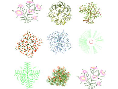 Arbustos coloridos de flores y bayas