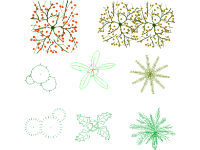 Arbustos de bayas y plantas en maceta