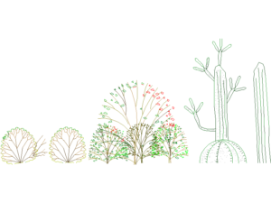 Bloques DWG de arbustos de varias especies y tamanos