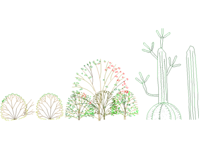 Arbustos de varias especies y tamaños