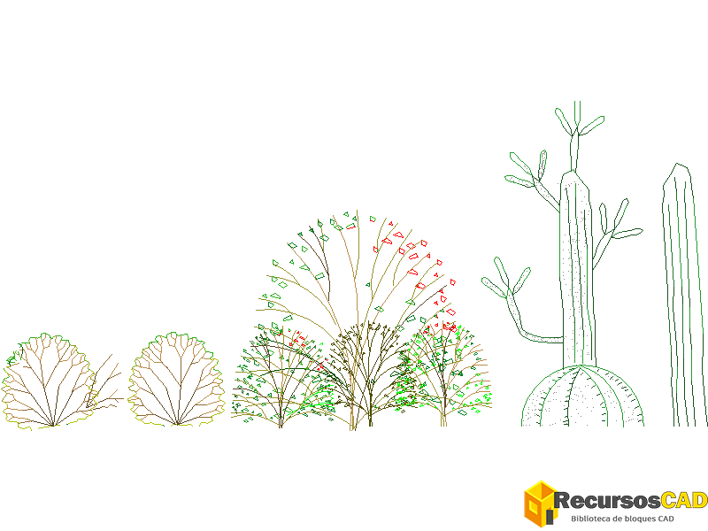 Arbustos de varias especies y tamaños