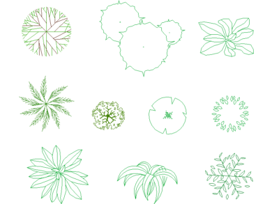 Arbustos y plantas pequeñas