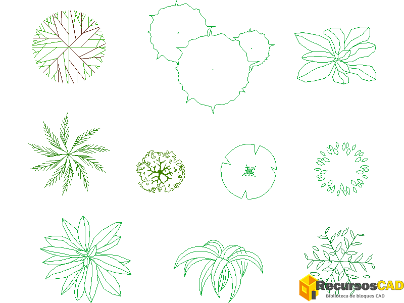 Arbustos y plantas pequeñas