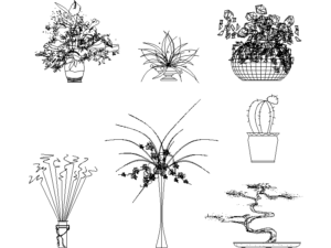 Bloques DWG de cactus orquideas y bonsais para AutoCAD