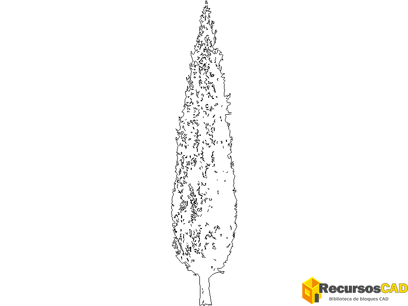 Descarga arboles cipres bonitos dwg para AutoCAD