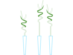Bloque de flores decorativas en DWG para AutoCAD