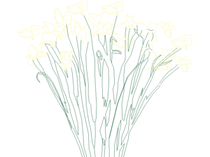 Bloques DWG de flores para jardines