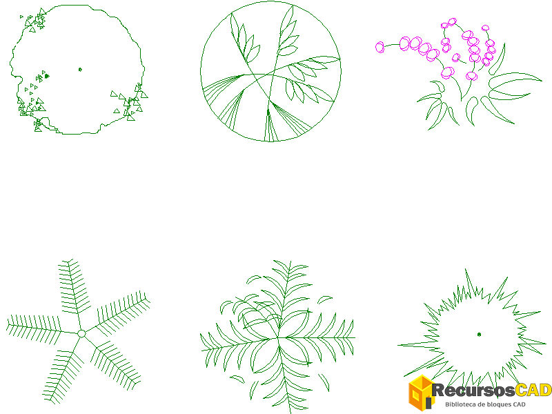 Flores y plantas de jardín