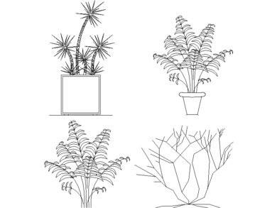 Bloques AutoCAD Helechos y dracaenas en macetas
