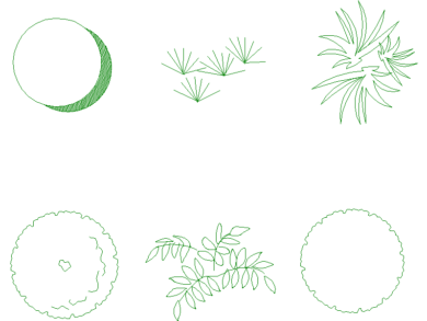 Hierba y plantas pequeñas