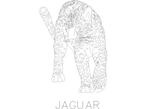 Bloques AutoCAD DWG Gratis: Jaguar en 2D