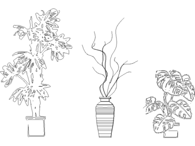 Jarrones con plantas decorativas