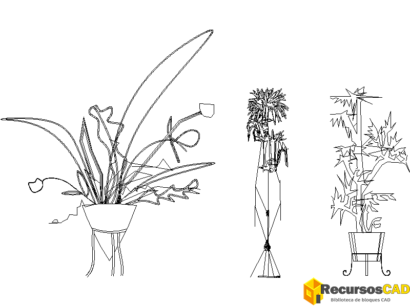 Mezclas de flores en jarrones modernos