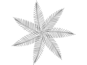 Bloques DWG de palmeras en vista planta dwg y de alta calidad