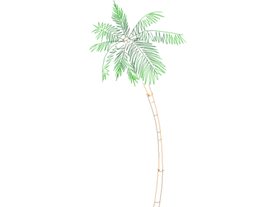 Descargar Palmeras en AutoCAD DWG