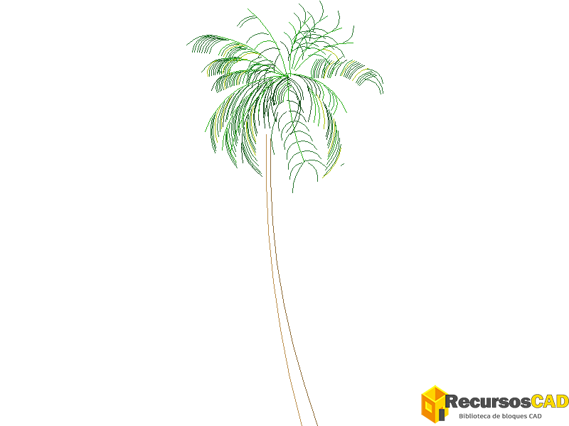 Palmeras AutoCAD DWG en Alzado: Descarga Bloques Gratis