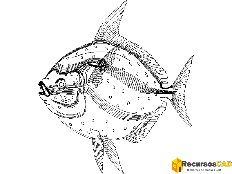 Bloques AutoCAD Pez de aleta roja