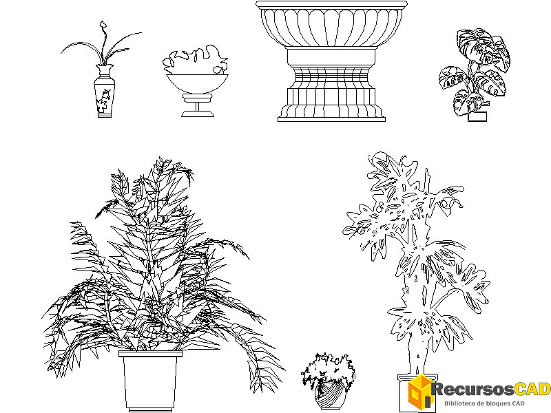 Plantas altas y grandes jarrones