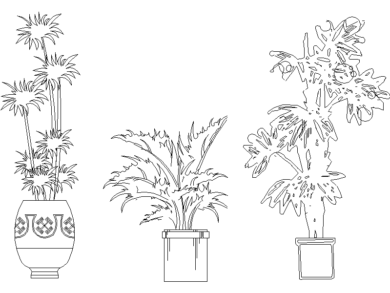 Plantas caseras en jarrones decorados