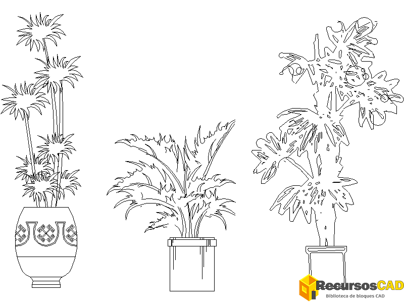 Plantas caseras en jarrones decorados