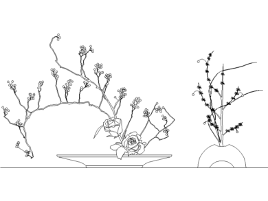 Plantas de centro de mesa