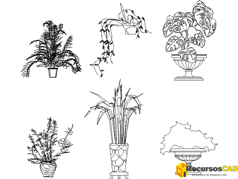 Plantas en maceta para un porche o terraza