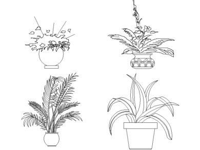 Plantas frondosas en maceta