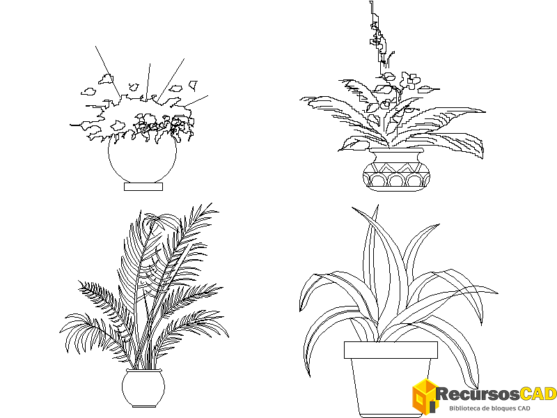 Plantas frondosas en maceta