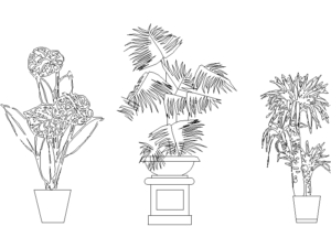 Bloques DWG de plantas ornamentales para la terraza