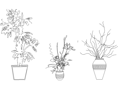 Plantas para una sala de estar