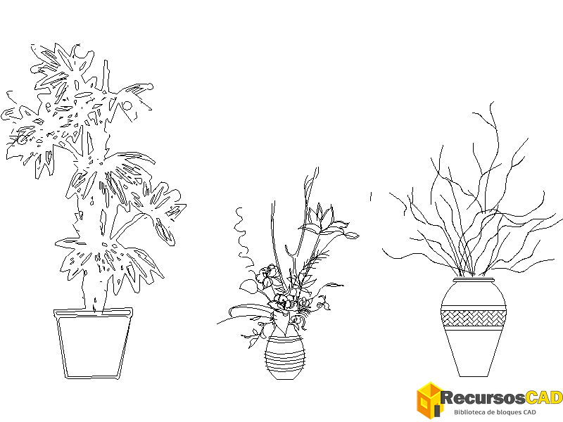 Plantas para una sala de estar