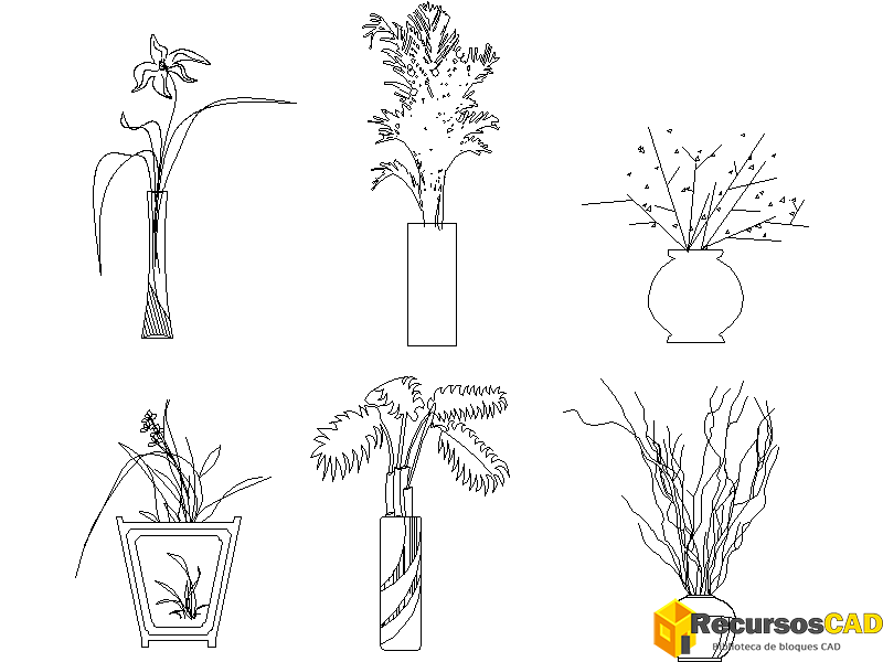 Plantas y flores caseras dentro de jarrones de vidrio