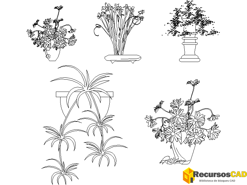 Plantas y flores cortas