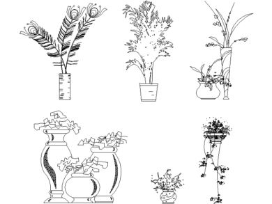 Plantas y plumas ornamentales de pavo real