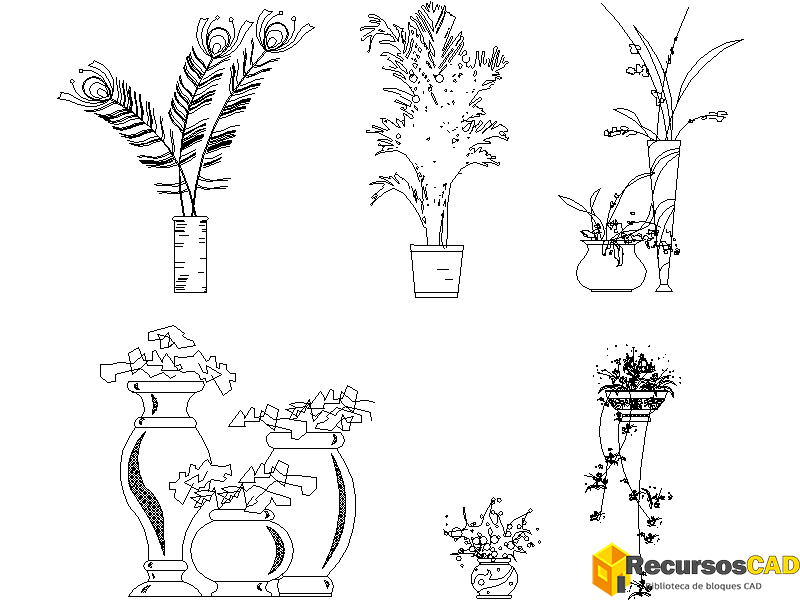 Plantas y plumas ornamentales de pavo real