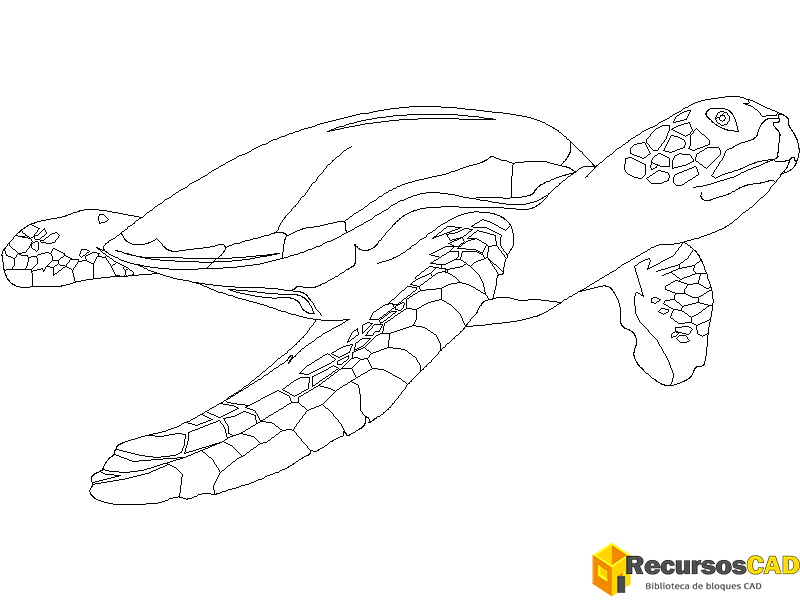 Tortuga Marina 2D Gratis: Descarga Bloque AutoCAD DWG